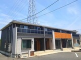 クリサンセマム　ライズ