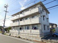 ウィルモアグッドラックⅤ