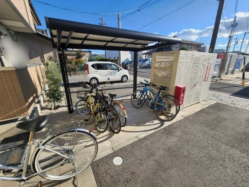  アンファン　ナッツ