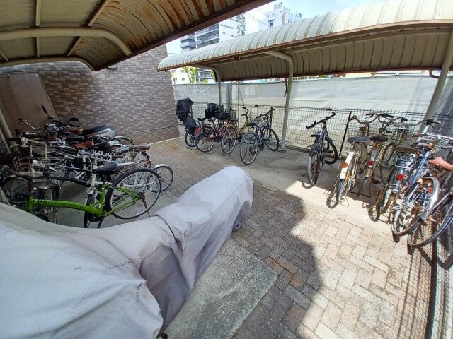  マンハイムカドゲン