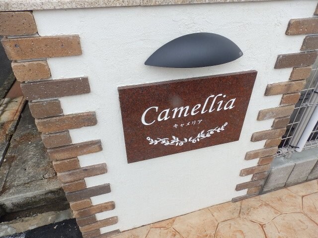  Ｃａｍｅｌｌｉａ（キャメリア）