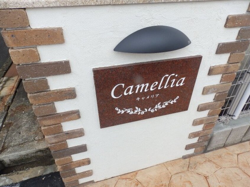  Ｃａｍｅｌｌｉａ（キャメリア）