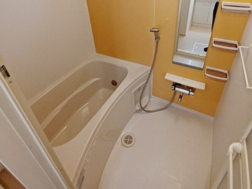 反転タイプ参考写真 ファイン・ゼファー