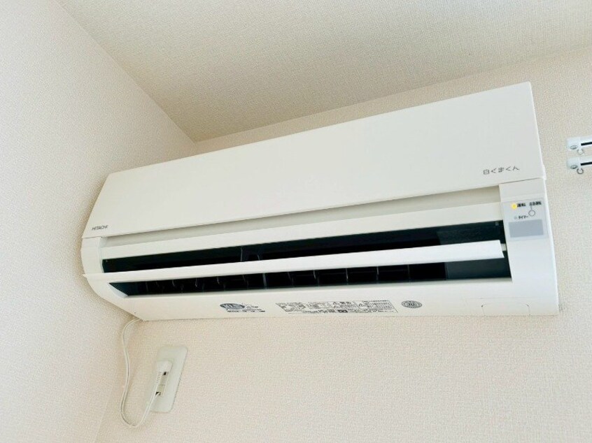 同型参考写真 オワゾー・ブルー