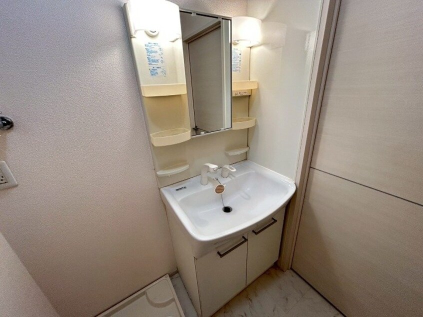 同型参考写真 オワゾー・ブルー