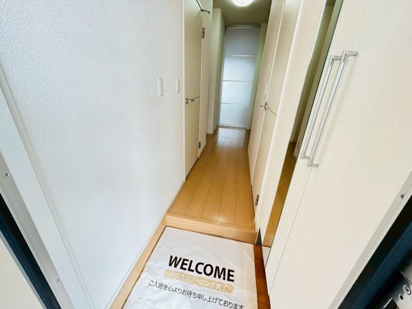 同型参考写真 オワゾー・ブルー