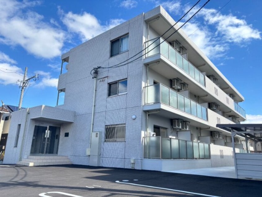  MONSTERA（モンステラ）