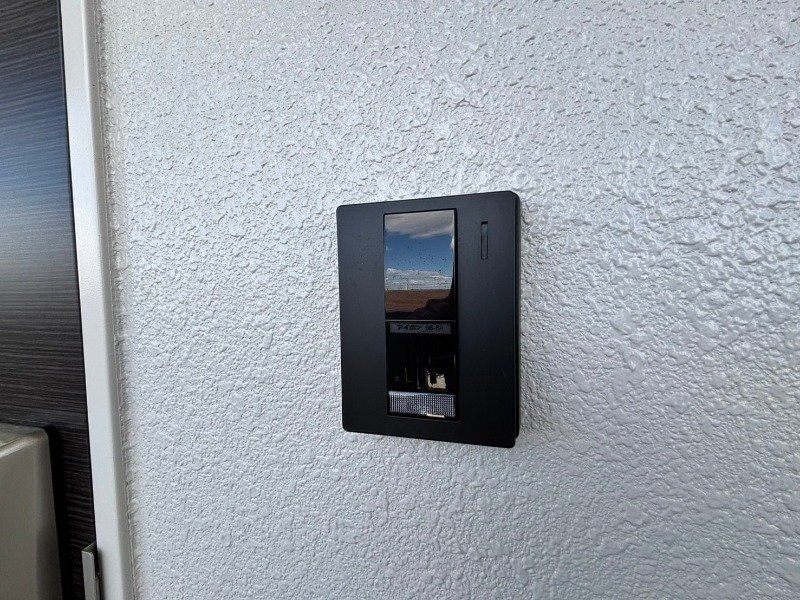 同型参考写真 MONSTERA（モンステラ）