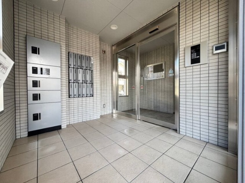  MONSTERA（モンステラ）