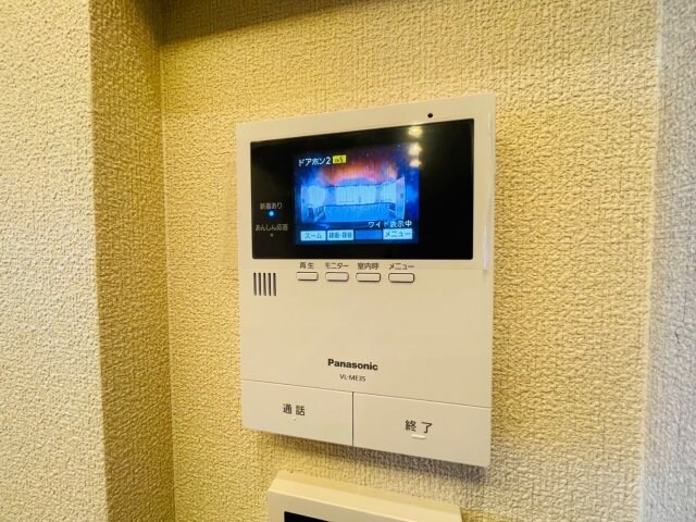 同タイプの画像です ｓｈａｍａｉｓｏｎ　Ｔａｎｉｇｕｃｈｉ