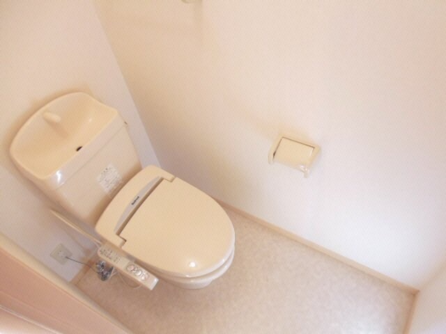 同型参考写真 マントナン　パセ