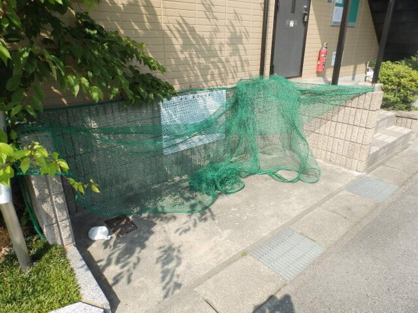  サン・セジュール　A