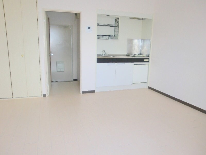 同型参考写真 グレイスノア