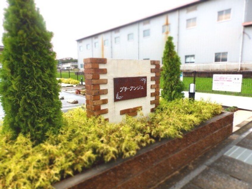  Ｐｅｔｉｔ　Ａｎｇｅ　Ⅱ