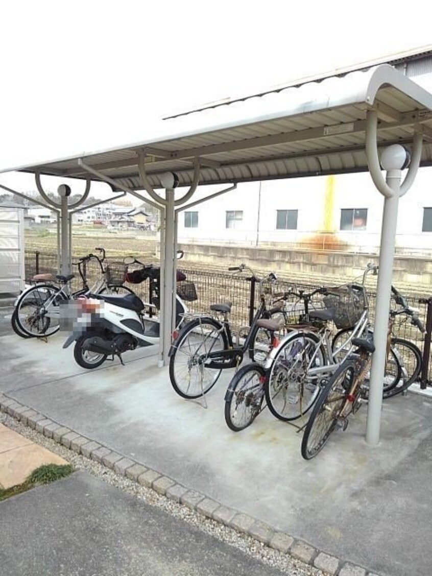  Ｐｅｔｉｔ　Ａｎｇｅ　Ⅱ