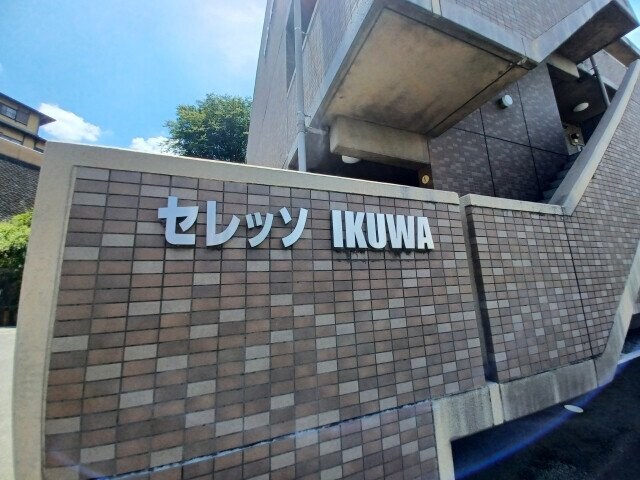 セレッソＩＫＵＷＡ