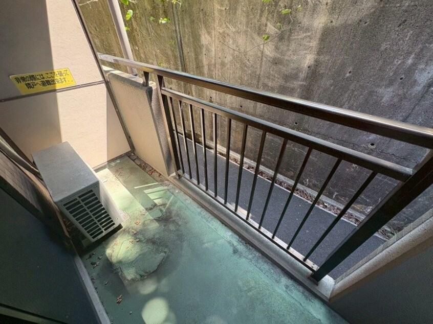  セレッソＩＫＵＷＡ