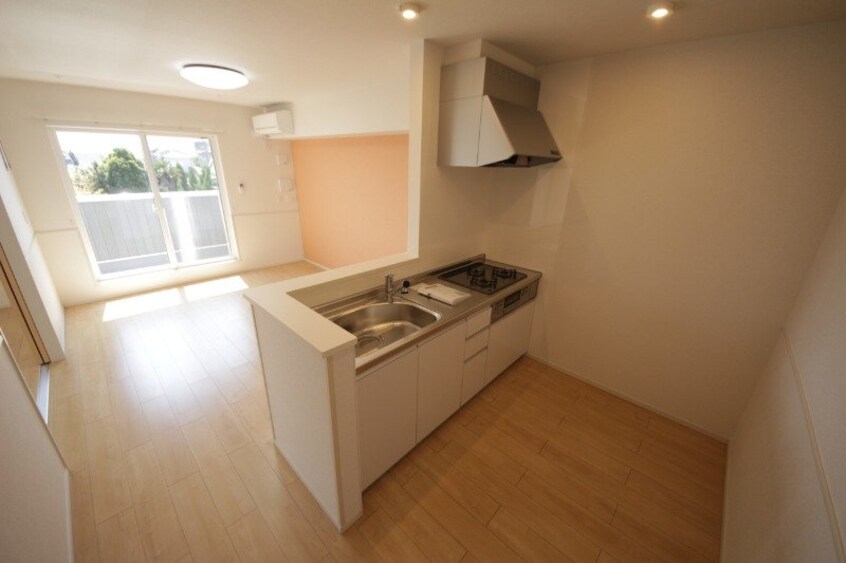 同型反転参考写真 ＮＡＧＯＭＩ（なごみ）