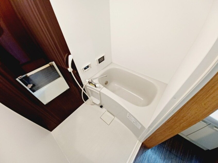 同型反転タイプのお写真です コスモス