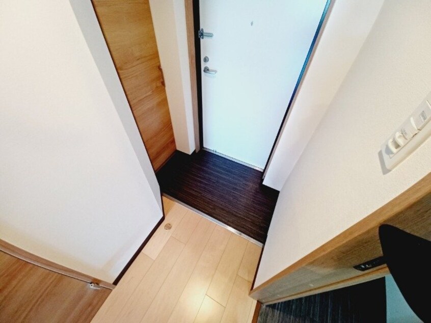 同型反転タイプのお写真です コスモス