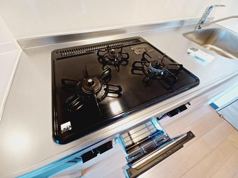 同型反転タイプのお写真です コスモス