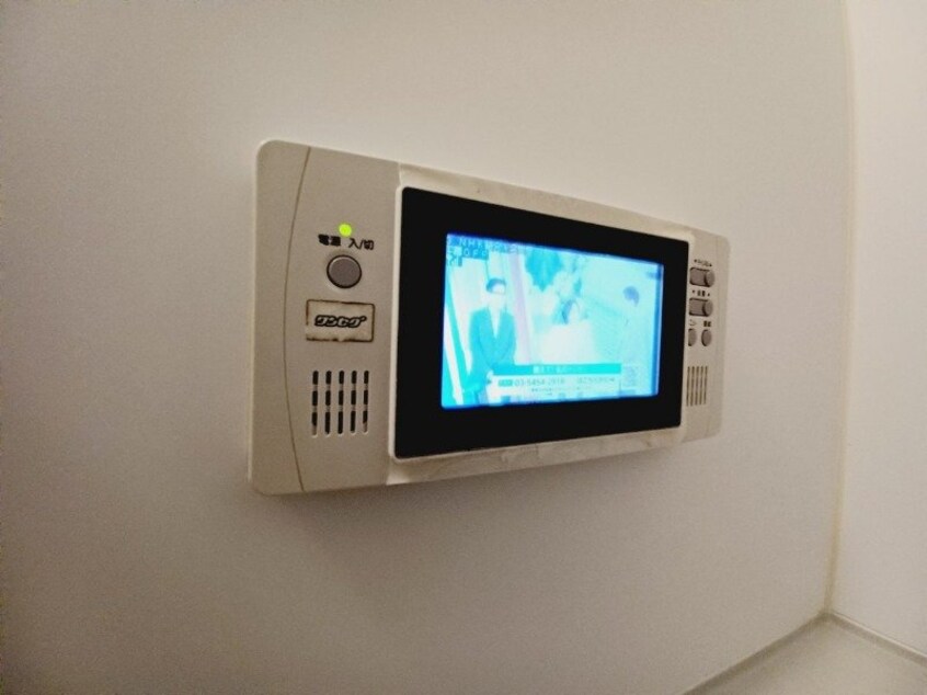 同型反転タイプのお写真です コスモス