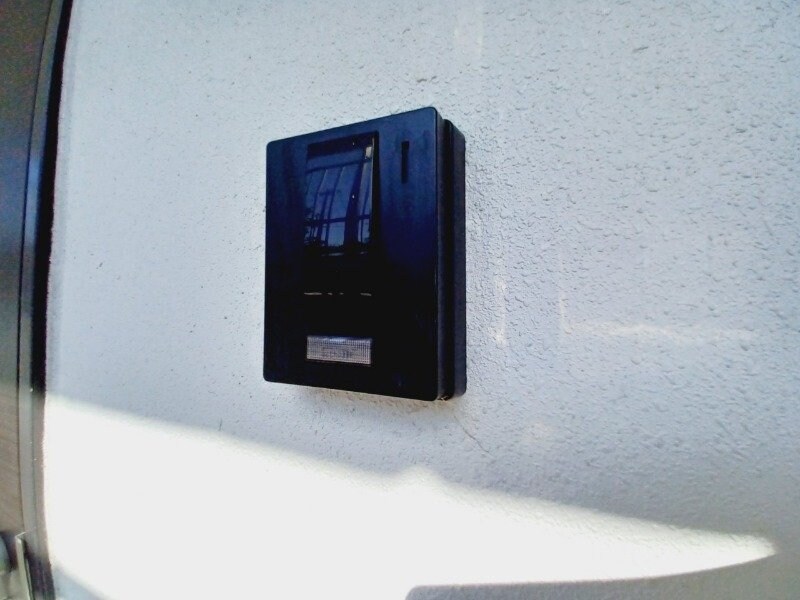 同型反転タイプのお写真です コスモス