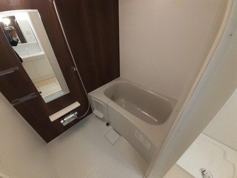  フランボワーズ　Ⅱ