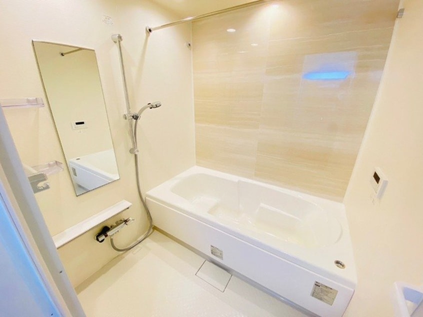 同型反転タイプ画像 ルピナス　Ｄ