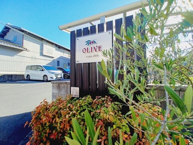  オリーブ
