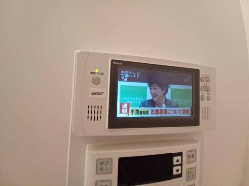 同型参考写真 パースンＪ