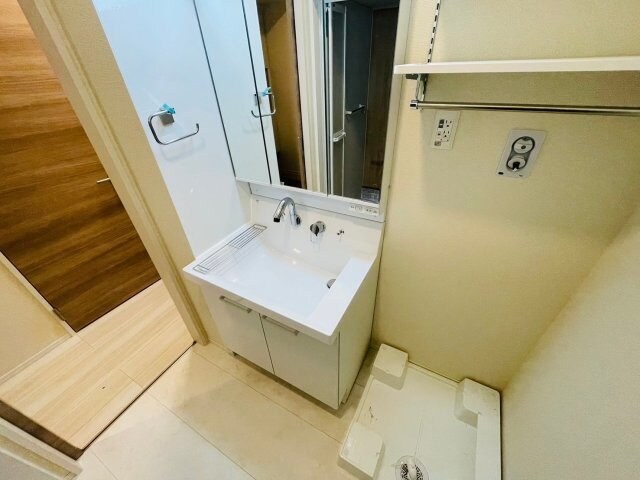 同型参考写真 パプリカⅢ　A