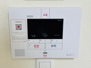 同型参考写真 パプリカⅢ　A