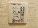 同型参考写真 パプリカⅢ　A