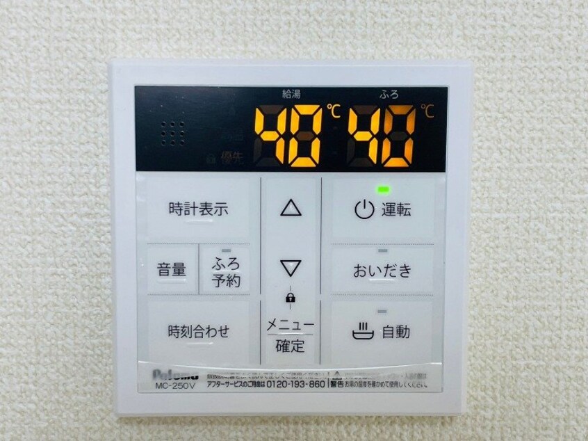 同型参考写真 パプリカⅢ　A