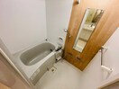 同型参考写真 パプリカⅢ　A