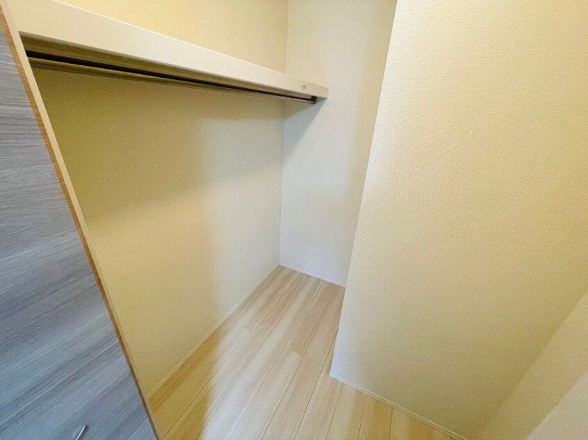 同型参考写真 パプリカⅢ　A
