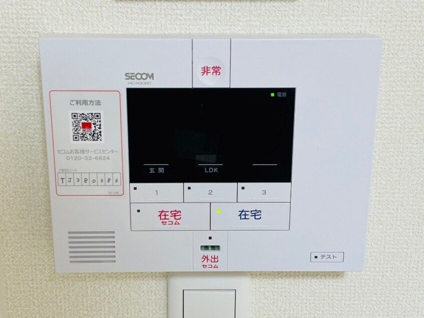 同型参考写真 パプリカⅢ　A