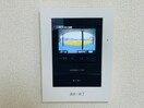 同型参考写真 パプリカⅢ　A