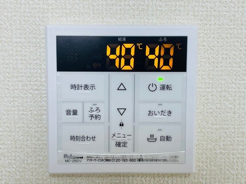 同型参考写真 パプリカⅢ　A