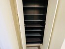 同型参考写真 パプリカⅢ　A