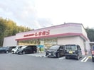ファッションセンターしまむら上野店(ショッピングセンター/アウトレットモール)まで3343m ノアーズアーク