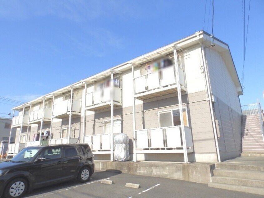  Ｓｕｒｐｌｕｓ　Ｔｗｏピラカンサ