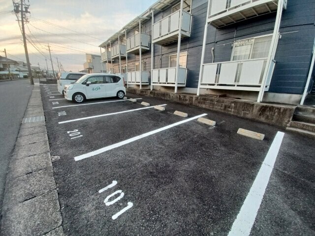  Ｓｕｒｐｌｕｓ　Ｔｗｏピラカンサ