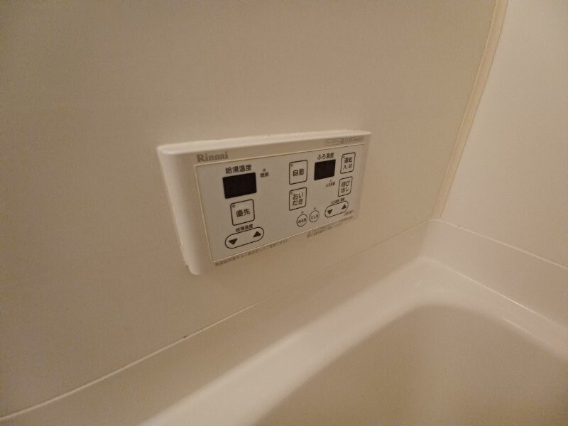  Ｓｕｒｐｌｕｓ　Ｔｗｏピラカンサ