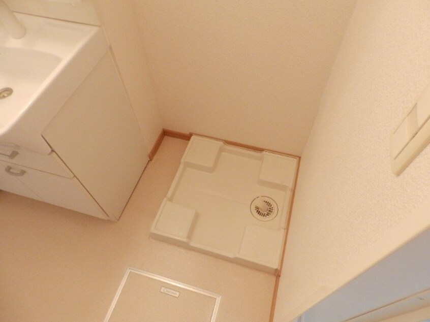 同型参考写真 フォレスト　ハナミズキＡ