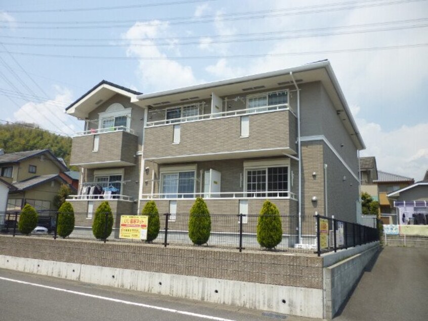  セレーノキヨ