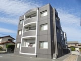Ｔ・Ｍグローブ