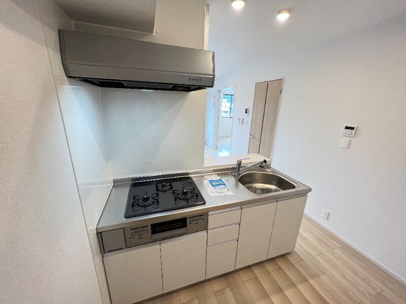 反転参考写真 ルピナス　Ｃ