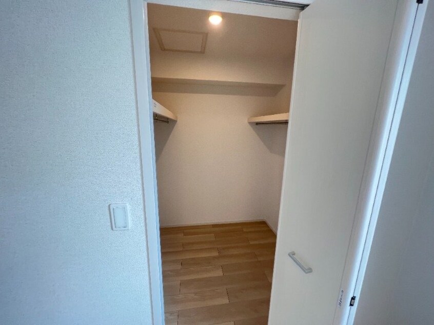 反転参考写真 ルピナス　Ｃ